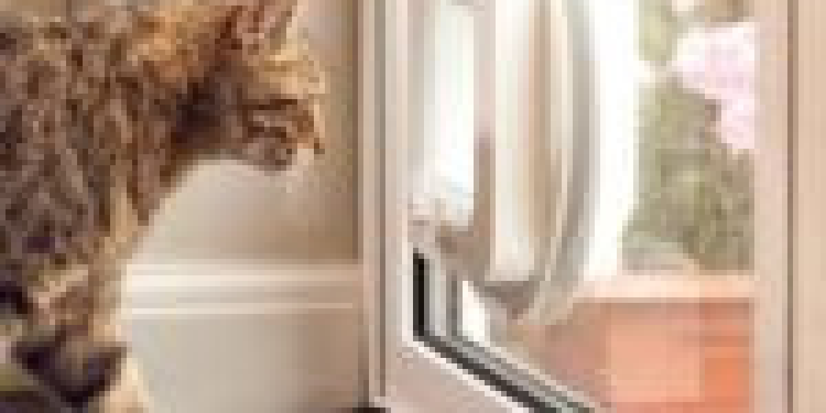 The Guide To Cat Flap Fitting In 2024